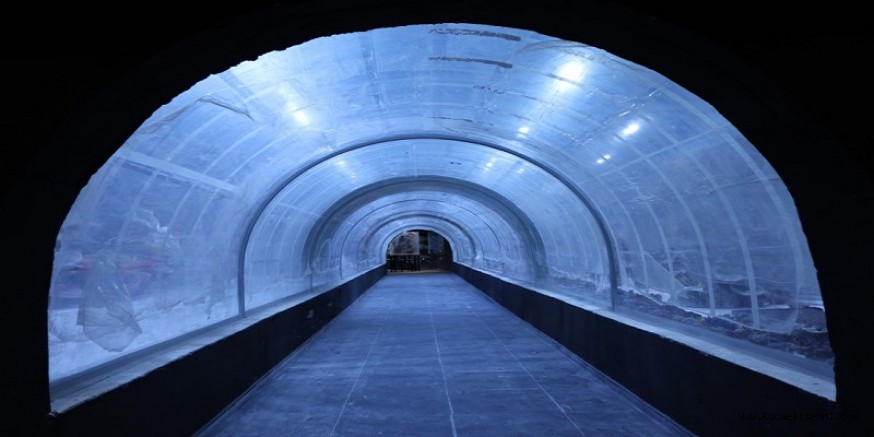  İzmit Millet Bahçesi Akvaryum Projesinde son hazırlıklar