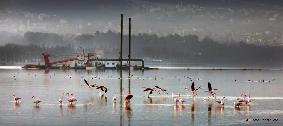 Mekânın sahipleri geri döndü