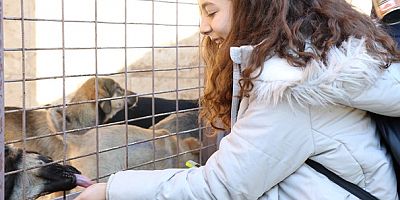 1899 hayvan sahiplendirildi