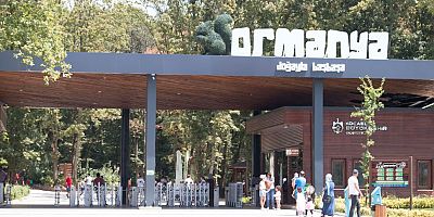 2020'de ormanyayı 2,5 milyon kişi gezdi