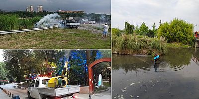  7/24 ilaçlama çalışmaları yürütülüyor