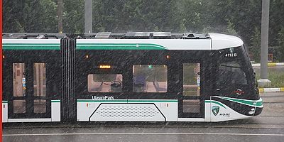 Akçaray 3 yaşında