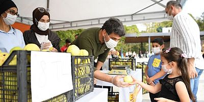 Başkan Ormanyada 1 saate 1 ton ayva sattı