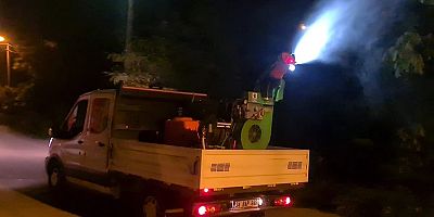 Böcek istilasına karşı topyekün önlem