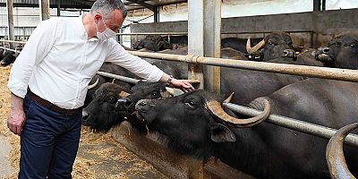 Büyükakın’ın gündemi “Tarım ve Hayvancılık”