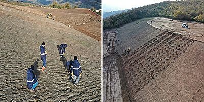 Büyükşehir, dolgu alanlarını ağaçlandırıyor