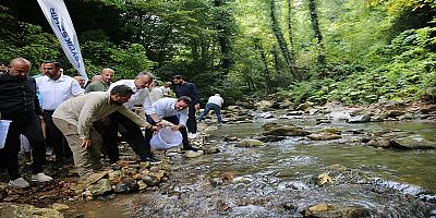 Büyükşehir Kirazdereye 8 bin adet alabalık saldı