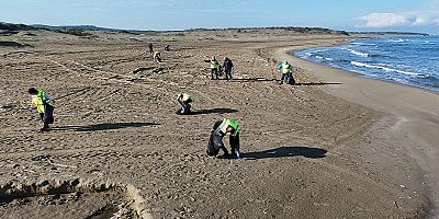 Büyükşehir kıyıları temizliyor