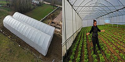 Büyükşehirin kurduğu modern seralardaki verim üreticiyi sevindirdi