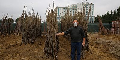 Çiftçiler yüzde 50 hibeli fidanları almaya başladı