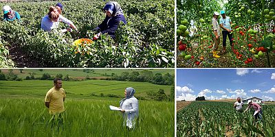 Çiftçilere tohum, gübre ve ekipman desteği