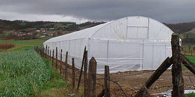 Çiftçilere yüzde 50 hibeli sera naylonu desteği