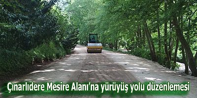 Çınarlıdere Mesire Alanı’na yürüyüş yolu düzenlemesi