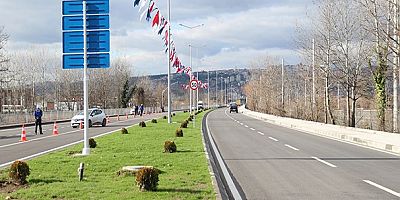 D-100 e Alternatif Yol