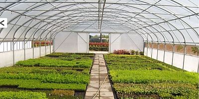 Daha yeşil bir izmit için sera kuruluyor