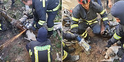 Demir boruya sıkışan köpeği itfaiye kurtardı