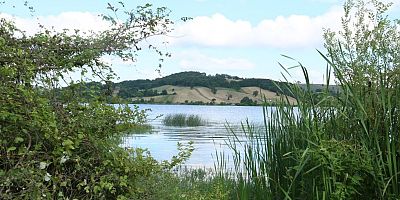 Derince Doğa Park Projesi