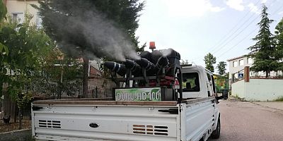 Derincede Sivrisineklerle Etkin Mücadele