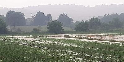 Dolu ve sel felaketi yaşanan noktalara inceleme