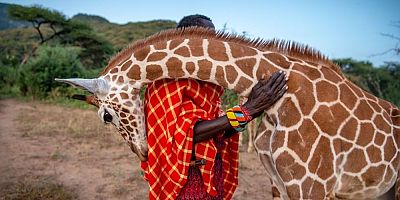 En iyi doğa fotoğrafları seçildi