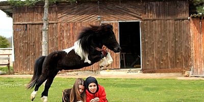 Gebze Atlı Spor Kulübü