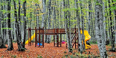 Gölcük Eriklitepe tabiat parkı