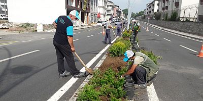 Gölcük’te orta refüjler ve üçgen adalar yeşilleniyor