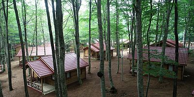 Güneşin toprağa ulaşamadığı yer Eriklitepe