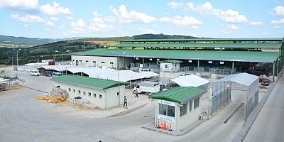 Hayvan pazarı’nda ön kayıtlar 1 temmuz’da başlıyor