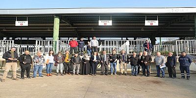 İzmit Belediyesinden çiftçiye süper meyve aronya hibesi