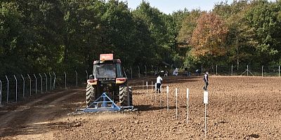 İzmit Belediyesinden kışlık sebze ekimi