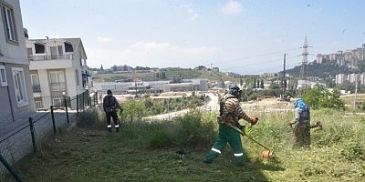İzmit Belediyesinden yabani ot mesaisi