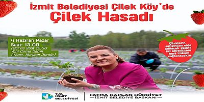 İzmit Belediyesinin Çilek Köyünde hasat zamanı