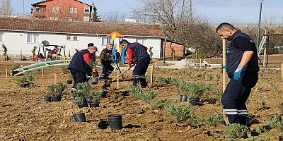 İzmit Gündoğdu Lavanta Bahçesinde çalışmalar hızla ilerliyor