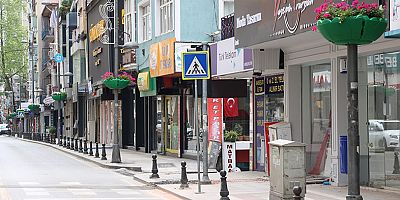 İzmit İnönü Caddesi sardunyalarla renklendi