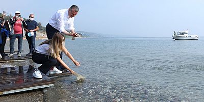 İzmit Körfezi Balıklandırma Projesi