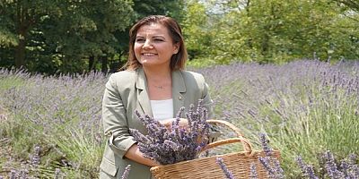 İzmite 23 bin lavanta fidesi