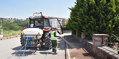 İzmitte haşere ile mücadele hız kesmiyor