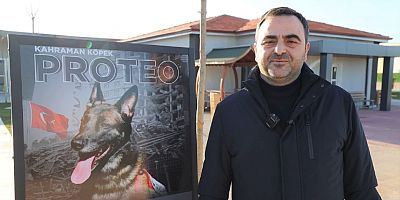 Kahraman Köpek Proteonun Adı Kocaelide bu merkezle Yaşayacak	