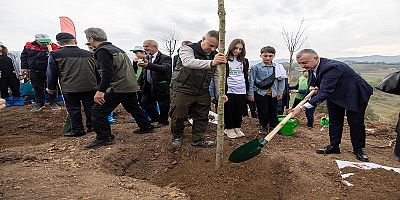 Karamürselde yanan bölge 3 bin fidanla yeşerecek