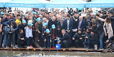 Karamürselden Körfeze 6 bin balık salındı