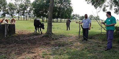 Kartepe´de kurban yakalama timi iş başında	