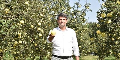 Kartepeden 11 ülkeye Eşme Ayvası