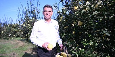 KARTEPE EŞME AYVA FESTİVALİ 23 EKİM’DE