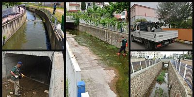 Kartepede sivrisinek mücadelesi