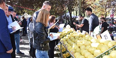 KARTEPEDE TÜRKİYENİN EN GÜZEL AYVALARI YARIŞTI