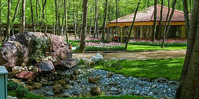 Kocaeli’de yeşil alan miktarı 23,5 milyon m2 oldu