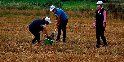 Kocaelinin tamamında toprak analizi