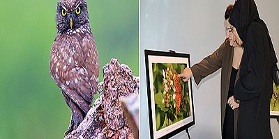 Kocaelinin yaban hayatı fotoğraf sergisi