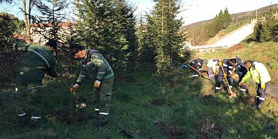 Körfez Otoban Yolu Kenarına 800 Fidan Dikildi
